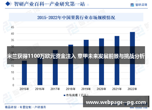 米兰获得1100万欧元资金注入 意甲未来发展前景与挑战分析