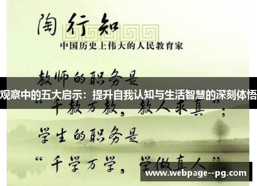 观察中的五大启示：提升自我认知与生活智慧的深刻体悟