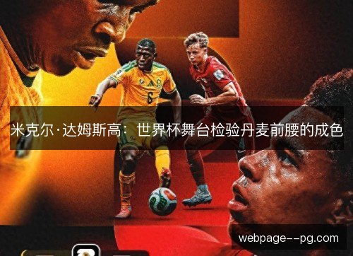 米克尔·达姆斯高:世界杯舞台检验丹麦前腰的成色 米克尔·达姆斯高:世界杯舞台检验丹麦前腰的成色